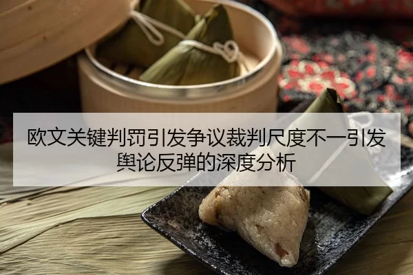 ou-wen-guan-jian-pan-fa-yin-fa-zheng-yi-cai-pan-chi-du-bu-yi-yin-fa-yu-lun-fan-tan-de-shen-du-fen-xi-2-401.jpg