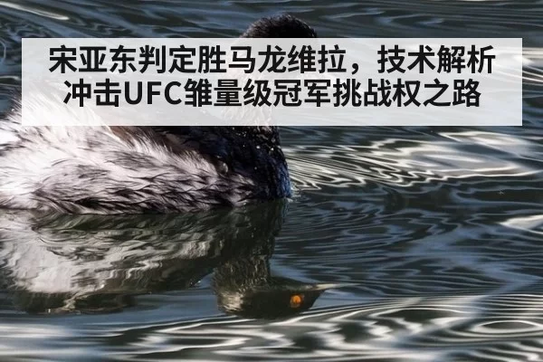 宋亚东判定胜马龙维拉,技术解析冲击UFC雏量级冠军挑战权之路